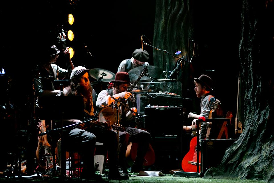 Welcome to the Forest