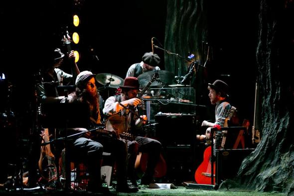 Welcome to the Forest